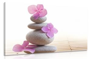 Obraz balans kameňov a ružové orientálne kvety Varianta: 60x40