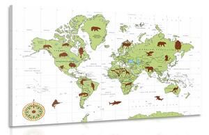 Obraz mapa so zvieratami Varianta: 120x80