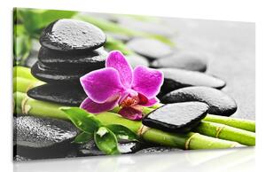 Obraz Spa zátišie s fialovou orchideou