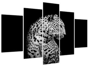 Obraz - Leopard (150x105 cm)