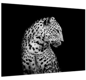 Obraz - Leopard (70x50 cm)
