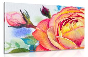 Obraz ruže v ružových odtieňoch Varianta: 60x40