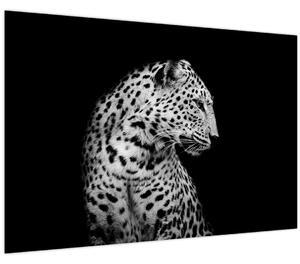 Obraz - Leopard (90x60 cm)