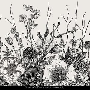Fototapeta Minimalistické čierne a biele kvety Samolepící 250x250cm