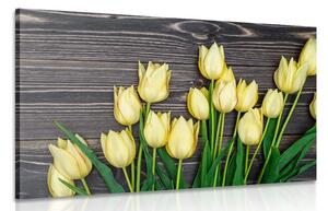 Obraz očarujúce žlté tulipány na drevenom podklade Varianta: 60x40