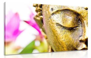 Obraz zlatá tvár Budhu Varianta: 120x80