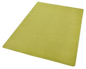 Hanse Home Collection koberce Kusový koberec Fancy 103009 Grün - zelený - 160x240 cm