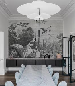 WALLCOLORS Black swans wallpaper - tapeta POVRCH: Prowall Concrete