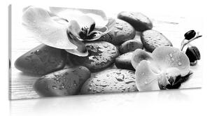 Obraz kúzelná súhra kameňov a orchidey v čiernobielom prevedení Varianta: 120x60