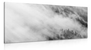 Obraz čiernobiely hmlistý les Varianta: 100x50