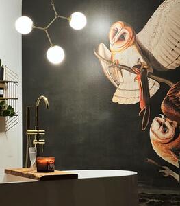 WALLCOLORS Owls wallpaper - tapeta POVRCH: Prowall Canvas