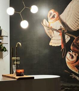 WALLCOLORS Owls wallpaper - tapeta POVRCH: Prowall Concrete