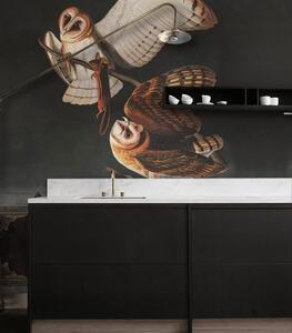 WALLCOLORS Owls wallpaper - tapeta POVRCH: Prowall Canvas