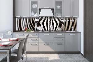 DIMEX | Fototapeta do kuchyne Zebra KI-260-016 | 260 x 60 cm | čiernobiela