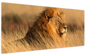 Obraz - Národný park Etosha (120x50 cm)
