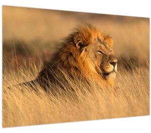 Obraz - Národný park Etosha (90x60 cm)