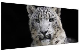 Obraz - Leopard snežný (120x50 cm)