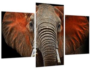 Obraz - Slony z Tsavo (90x60 cm)