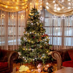 VOLTRONIC Vianočná reťaz 5 m, 50 LED, teplá / studená biela