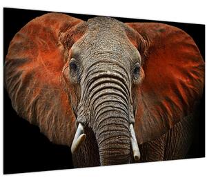 Obraz - Slony z Tsavo (90x60 cm)