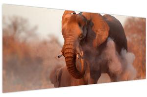 Obraz - Veľký slon africký (120x50 cm)