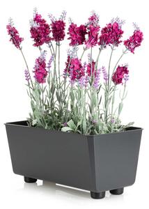 PLASTOVÝ KVETINÁČ SALVIA 28,5X17 CM ANTRACITOVÁ