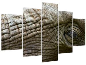 Obraz - Detailné fotografie starého slonieho oka (150x105 cm)