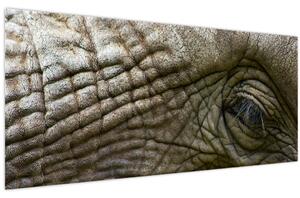 Obraz - Detailné fotografie starého slonieho oka (120x50 cm)