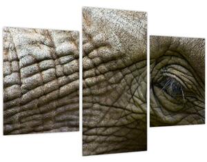 Obraz - Detailné fotografie starého slonieho oka (90x60 cm)