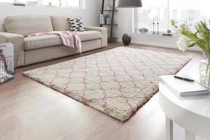 Hanse Home Collection koberce Kusový koberec Grace 102745 - 80x150 cm