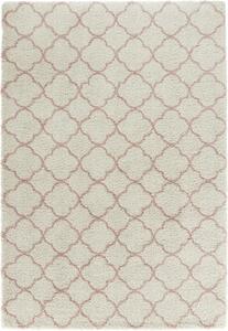 Hanse Home Collection koberce Kusový koberec Grace 102745 - 120x170 cm