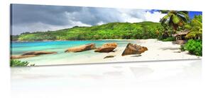 Obraz tropické Seychely Varianta: 150x50