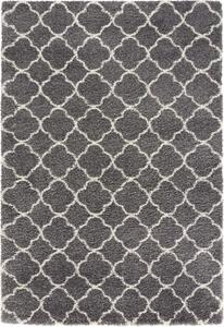 Hanse Home Collection koberce Kusový koberec Grace 102746 - 80x150 cm