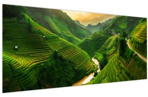 Obraz - Ryžové terasy Mu Cang Chai (120x50 cm)