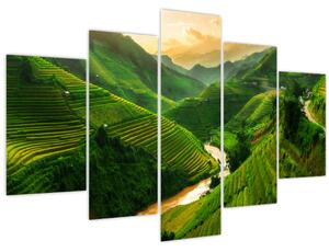 Obraz - Ryžové terasy Mu Cang Chai (150x105 cm)