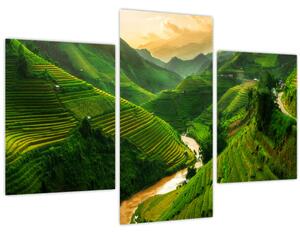 Obraz - Ryžové terasy Mu Cang Chai (90x60 cm)