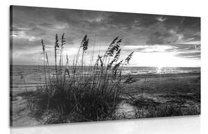 Obraz západ slnka na pláži v čiernobielom prevedení Varianta: 90x60