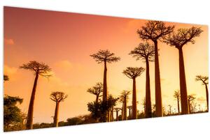Obraz - Západ slnka v uličke Baobab (120x50 cm)