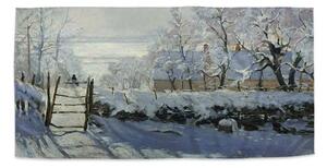 Sablio Uterák Straka - Claude Monet - 30x50 cm