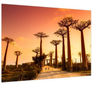 Obraz - Západ slnka v uličke Baobab (70x50 cm)