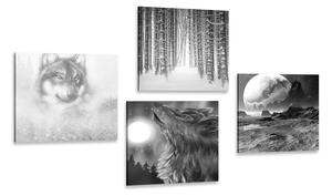 Set obrazov tajuplný vlk v čiernobielom prevedení Varianta: 4x 40x40