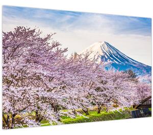 Obraz - Japonsko na jar (90x60 cm)