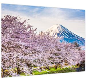 Obraz - Japonsko na jar (70x50 cm)