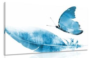 Obraz pierko s motýľom v modrom prevedení Varianta: 120x80