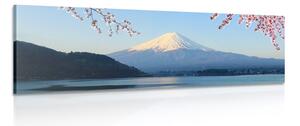 Obraz výhľad na horu Fuji Varianta: 150x50