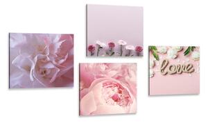 Set obrazov kvety v jemnom ružovom odtieni Varianta: 4x 40x40