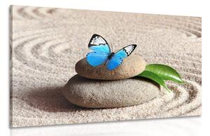 Obraz modrý motýľ v Zen záhrade Varianta: 60x40