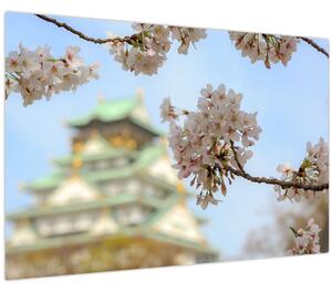Obraz - Sakura (90x60 cm)