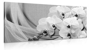Obraz orchidea na plátne v čiernobielom prevedení Varianta: 100x50