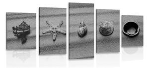 5-dielny obraz mušle na piesočnatej pláži v čiernobielom prevedení Varianta: 100x50